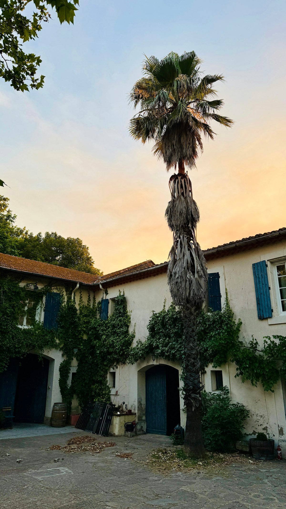 Villa Baie des Anges